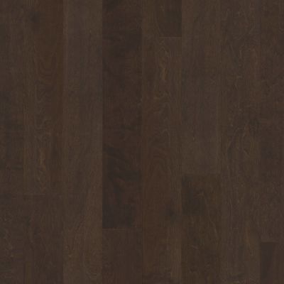 Shaw Floors Carpets Plus Hardwood Mossy Birch Bayfront 00493_CH883