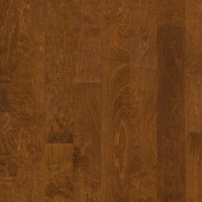 Shaw Floors Carpets Plus Hardwood Mossy Birch Burnside 00627_CH883
