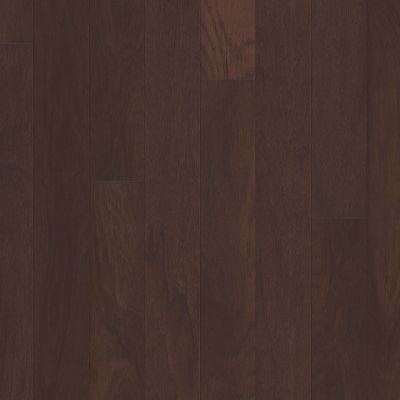 Shaw Floors Carpets Plus Hardwood Destination Polished Timber 5″ Three Rivers 00941_CH885
