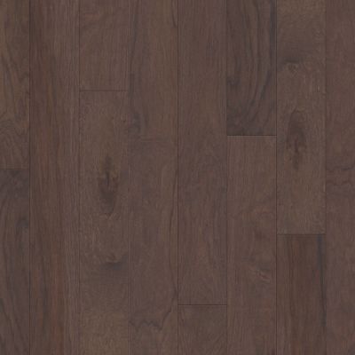 Shaw Floors Carpets Plus Hardwood Destination Polished Timber 5″ Crystal Cave 05003_CH885