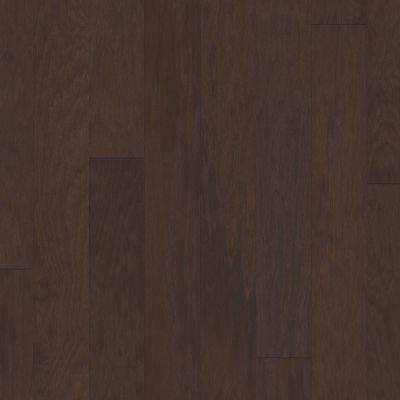 Shaw Floors Carpets Plus Hardwood Destination Polished Timber 5″ Bearpaw 09000_CH885