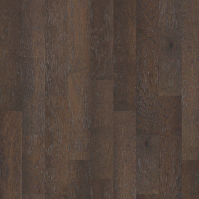 Shaw Floors Carpets Plus Hardwood Destination Polishtimbe6.38 Granite 00510_CH886