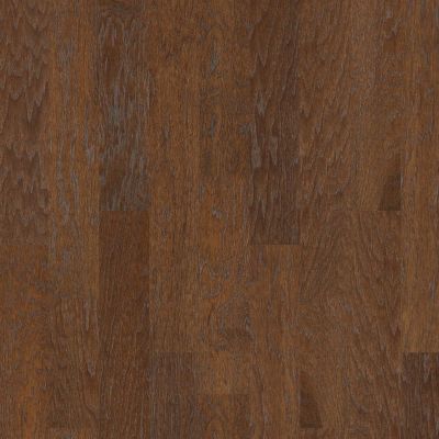 Shaw Floors Carpets Plus Hardwood Destination Polish Timber 6.38 Canyon 07002_CH886