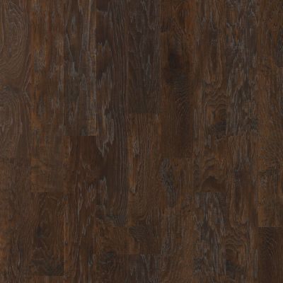 Shaw Floors Carpets Plus Hardwood Destination Chiseled Hickory 6.38 Bearpaw 09000_CH888