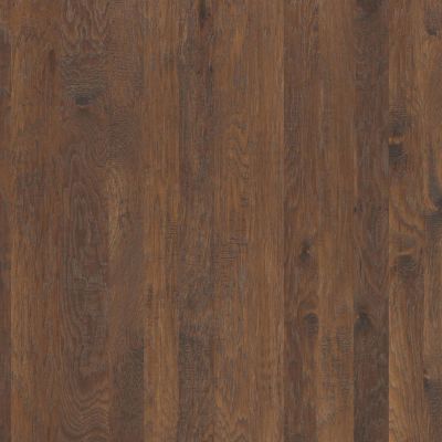 Shaw Floors Carpets Plus Hardwood Destination Chiseled Hickory Mixed Canyon 07002_CH889
