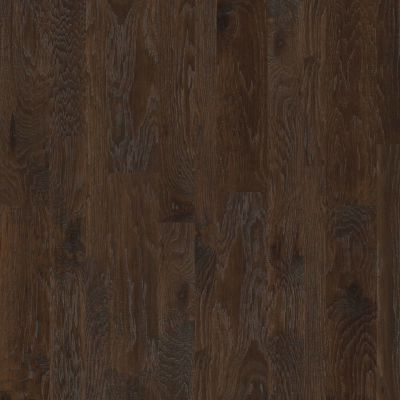Shaw Floors Carpets Plus Hardwood Destination Chiseled Hickory Mixed Bearpaw 09000_CH889
