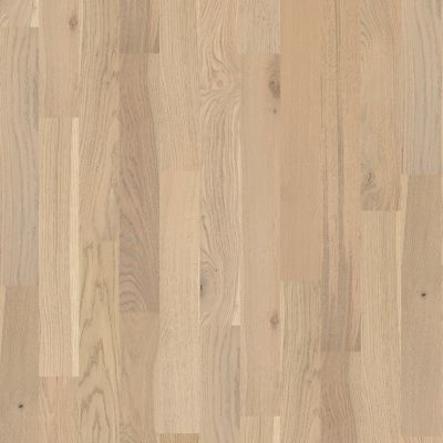 Shaw Floors Carpets Plus Hardwood Masterful Blend Vanderbilt 01015_CH894
