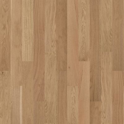 Shaw Floors Carpets Plus Hardwood Masterful Blend Hearst 02012_CH894