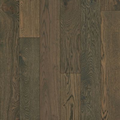 Shaw Floors Carpets Plus Hardwood Masterful Blend Morgan 07024_CH894
