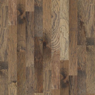 Anderson Tuftex Carpets Plus Hardwood Destination Handcarved Hickory Cambrena 13001_CH899