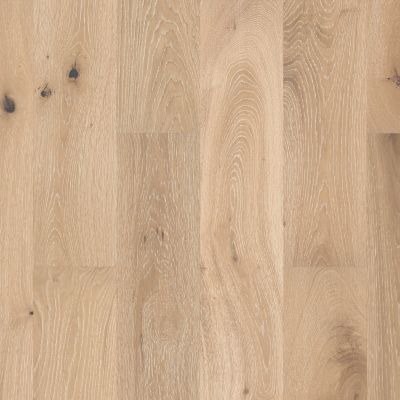 Shaw Floors Carpets Plus Hardwood Destination Swept Spirit Oak Tapestry 00146_CH900