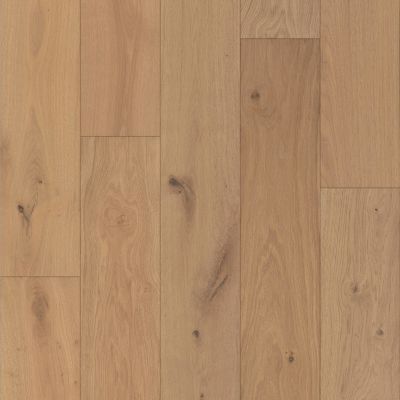 Shaw Floors Carpets Plus Hardwood Destination Swept Spirit Oak Dynasty 02047_CH900