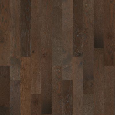 Shaw Floors Carpets Plus Hardwood Destination Brush Stroked Oak Rockefeller 09008_CH905