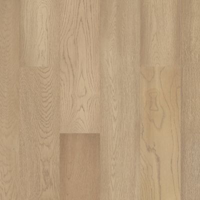 Shaw Floors Carpetland – Waterproof Hardwood Eminence Brightened Oak 01057_CH919
