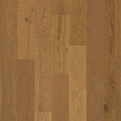 Shaw Floors Carpets Plus – Waterproof Hardwood Eminence Warmed Oak 02040_CH919