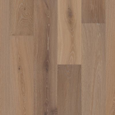 Shaw Floors Carpets Plus Hardwood Destination Esquire Watercolor 02053_CH920