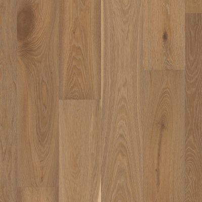 Shaw Floors Carpets Plus Hardwood Destination Esquire Artistry 07063_CH920