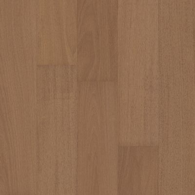 Shaw Floors Carpets Plus Hardwood Swept Spirit Brazilian Oak Keystone 07089_CH922