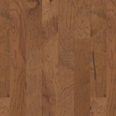 Shaw Floors Carpets Plus Hardwood Pine Hurst Maize 00204_CHX18