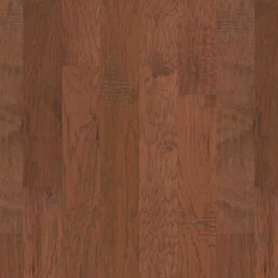 Shaw Floors Carpets Plus Hardwood Pine Hurst Harvest 00842_CHX18