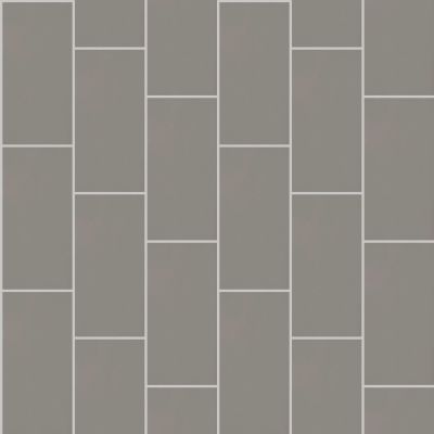 Shaw Floors Ceramic Solutions Diva 12×24 Plsh Mica 00550_CS04V