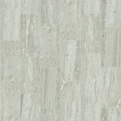 Shaw Floors Ceramic Solutions Cameo 12×24 Jasper 00700_CS09X