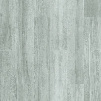 Shaw Floors Ceramic Solutions Edinburg 8×48 Smoke 00500_CS19W