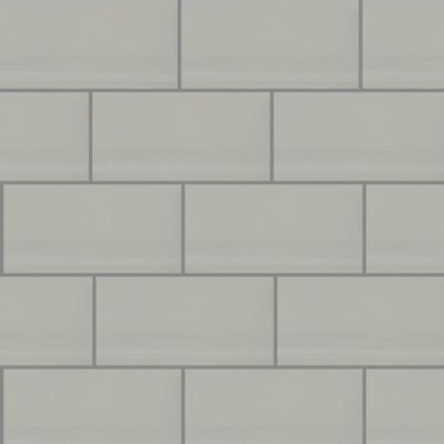 Shaw Floors Ceramic Solutions Elegance 3×6 Gloss Taupe 00550_CS34L