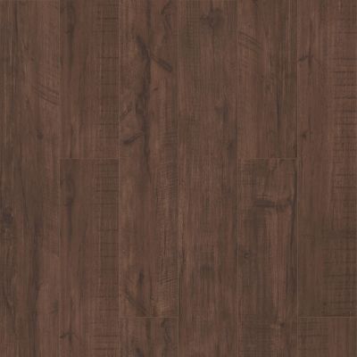 Shaw Floors Carpets Plus Resilient Entra Plus Parma 00734_CV158