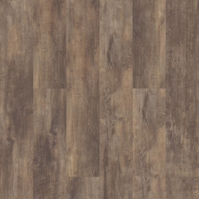 Shaw Floors Carpets Plus Resilient Entra Plus Genoa 00773_CV158