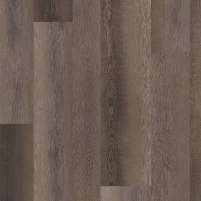 Shaw Floors Colortile Spc Cl Aspire Mix Blackfill Oak 00909_CV185