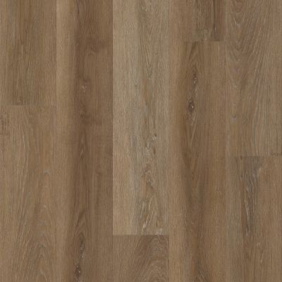 Shaw Floors Elite Performance Spc Ramsey Magellanic Oak 02080_CV187