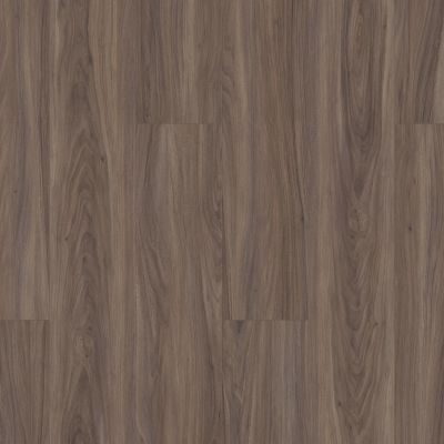 Shaw Floors Carpets Plus Resilient Catamaran Cinnamon Walnut 00150_CV211