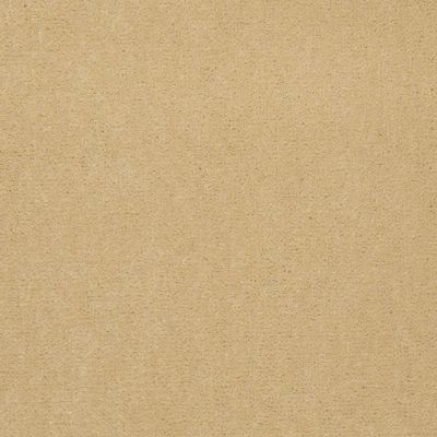 Patcraft Sheer Velvet 30 Iv Butter 00148_DC200