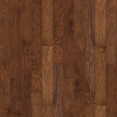 Shaw Floors Shaw Design Center Mount Battie Autumn Breeze 00314_DC213