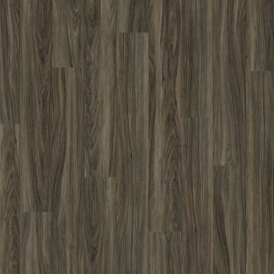 Shaw Floors Dr Horton Cosmo Plank Costa 00150_DR001