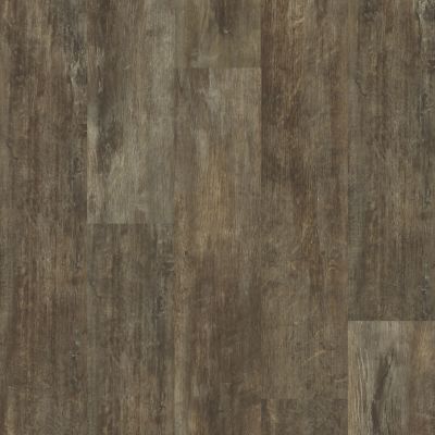 Shaw Floors Dr Horton Cosmo Plank Plus Genoa 00773_DR006