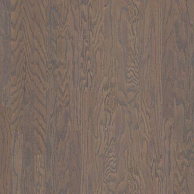 Shaw Floors Dr Horton Ann Arbor 3.25 Weathered 00543_DR667