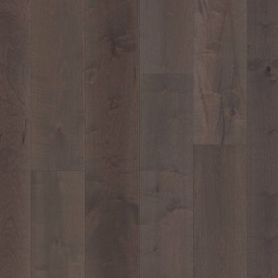 Shaw Floors Dr Horton Barclay Maple Serenity 09019_DR710
