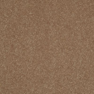 Shaw Floors Secret Escape I 15′ Gingersnaps 00201_E0049