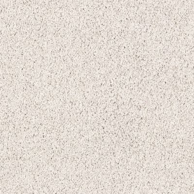 Shaw Floors Lonestar Carrera 00129_E0113