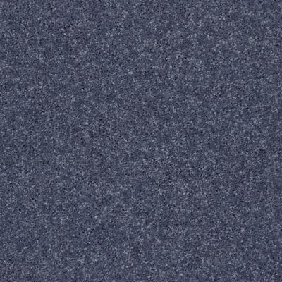Shaw Floors All Star Weekend I 12′ Charcoal 00545_E0143