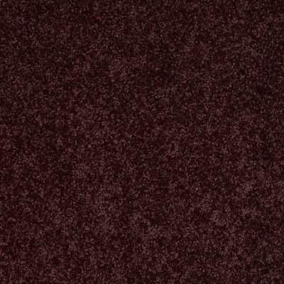 Shaw Floors All Star Weekend II 12 Royal Purple 00902_E0144
