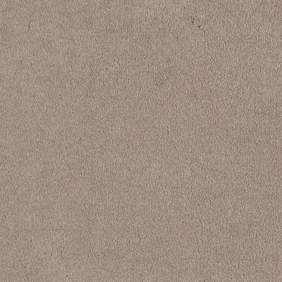 Shaw Floors Magic At Last I 12′ Quartz 00144_E0200