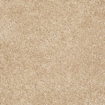 Shaw Floors Vermont (s)12′ Muslin 00102_E0263