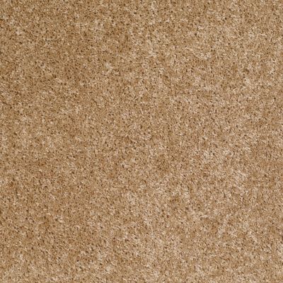 Shaw Floors Vermont (s)12′ Reed 00201_E0263