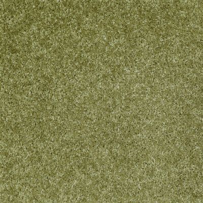 Shaw Floors Vermont (s)12′ Spring Valley 00300_E0263