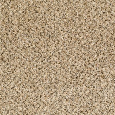 Shaw Floors Vitalize (b) Sand Stone 00211_E0278