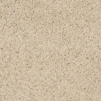 Shaw Floors Fusion Value 400 Southern Charm 00161_E0282