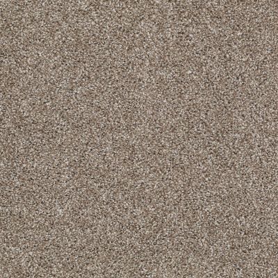 Shaw Floors Value Collections Go For It Net Olivine 00710_E0323